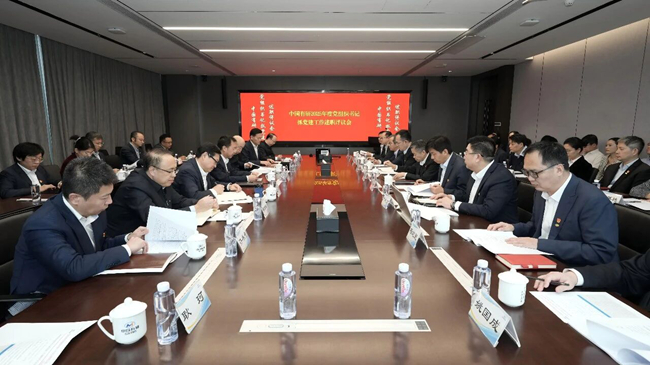 中国有研党委召开2025年度党组织书记抓基层党建工作述职评议会